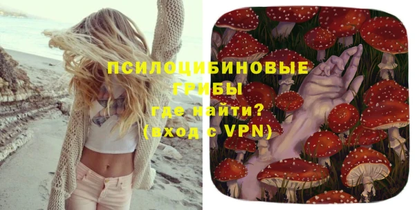 мяу мяу мука Новозыбков