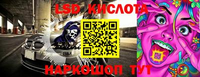 шишки Изобильный