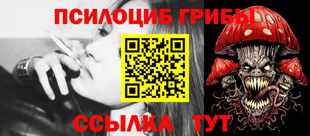 Зеленогорск  Галлюциногенные грибы Psilocybine cubensis  Вход с VPN 