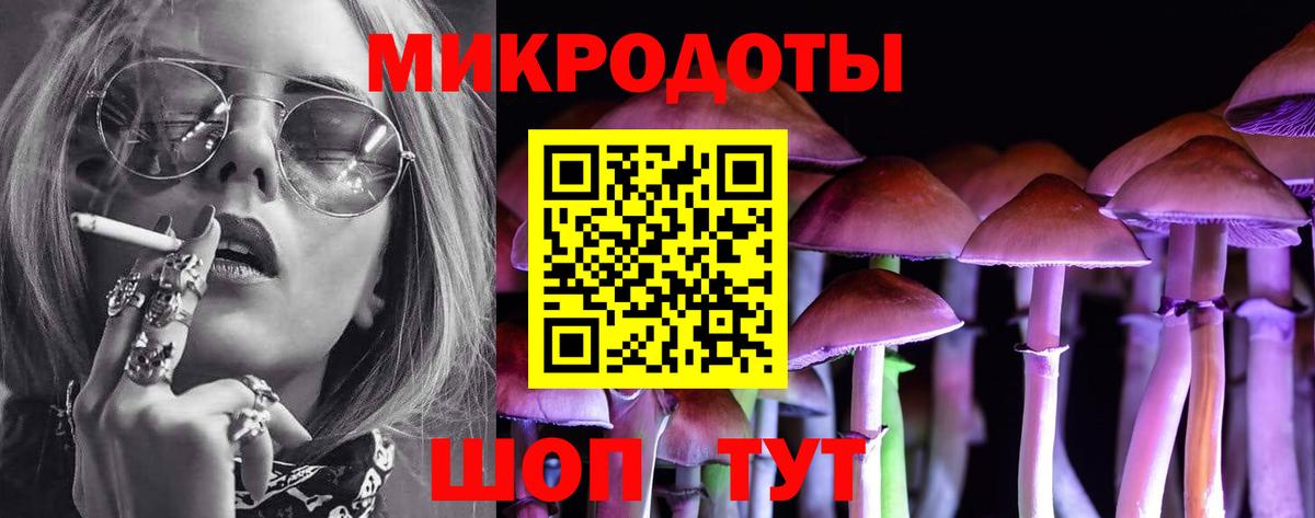 Псилоцибиновые грибы прущие грибы Зеленогорск